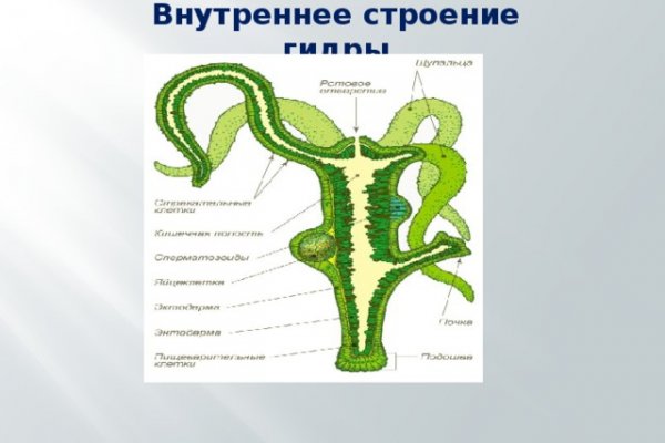 Кракен наркоторговец